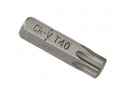 T40 Torx Bit Set 25 mm - 40 Stk in Kunststoff Box 
